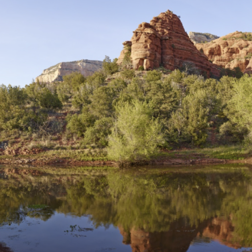 Watering Hole in Sedona